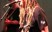 IMG_8703[1]